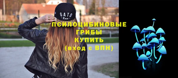 стаф Аркадак