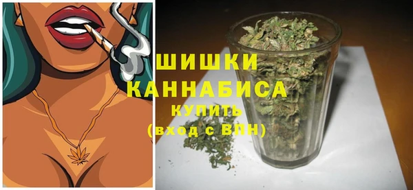 гидра Армянск