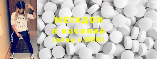 стаф Аркадак