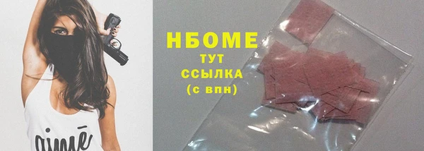 стаф Аркадак