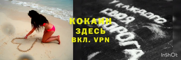 стаф Аркадак