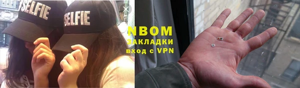 стаф Аркадак