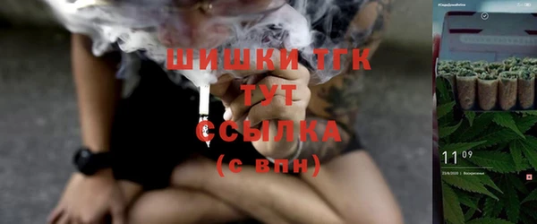 тгк Арсеньев