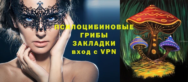 стаф Аркадак