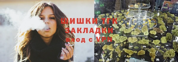 тгк Арсеньев