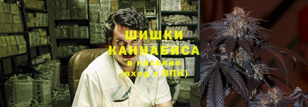 стаф Аркадак