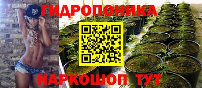 спиды Ртищево
