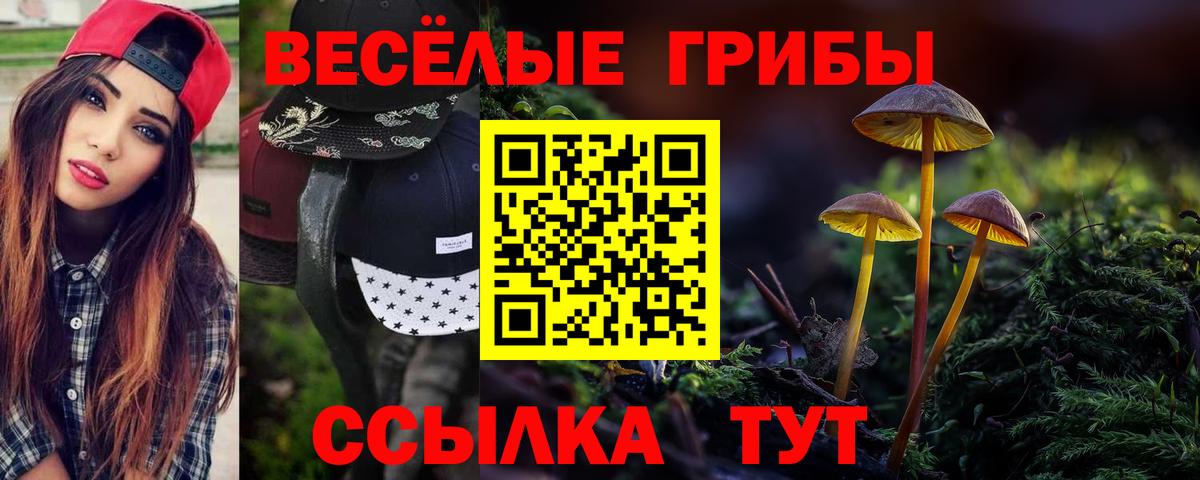 Псилоцибиновые грибы ЛСД Раменское